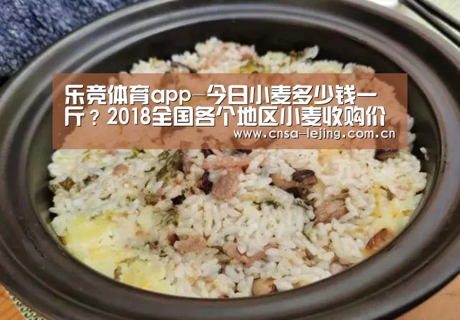 乐竞体育