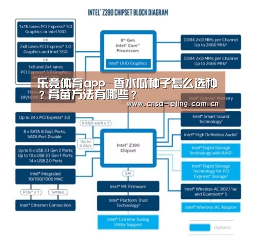 乐竞体育app-香水瓜种子怎么选种?育苗方法有哪些?(图1) 乐竞体育平台