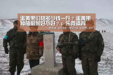 乐竞体育下载