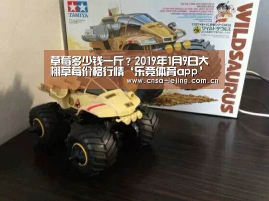 草莓多少钱一斤?2019年1月9日大棚草莓价格行情‘乐竞体育app’(图3) 乐竞体育