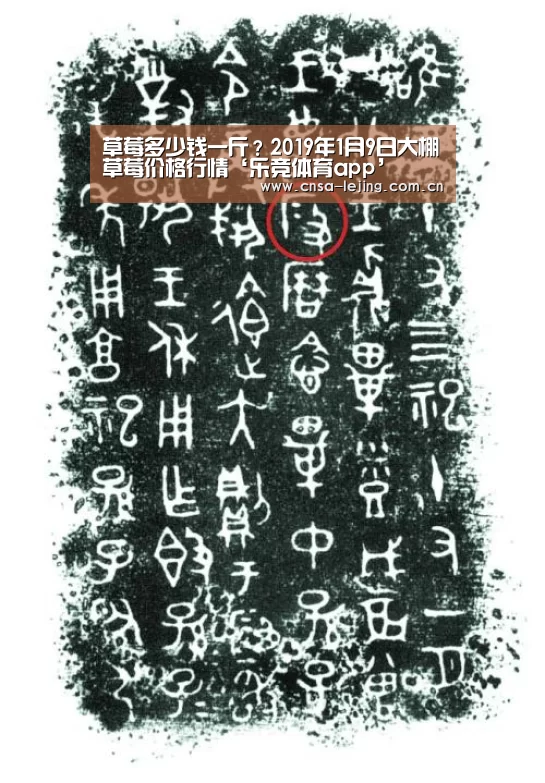 草莓多少钱一斤?2019年1月9日大棚草莓价格行情‘乐竞体育app’(图1) 乐竞体育app