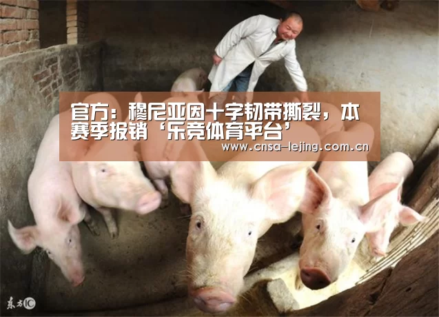 乐竞体育下载