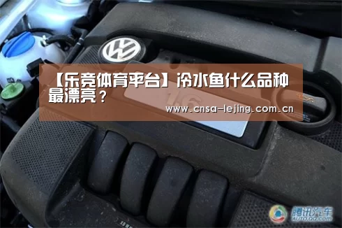 乐竞体育下载