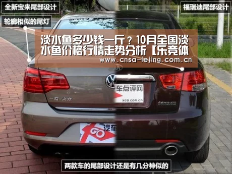 淡水鱼多少钱一斤?10月全国淡水鱼价格行情走势分析【乐竞体育官网】(图3) 乐竞体育app
