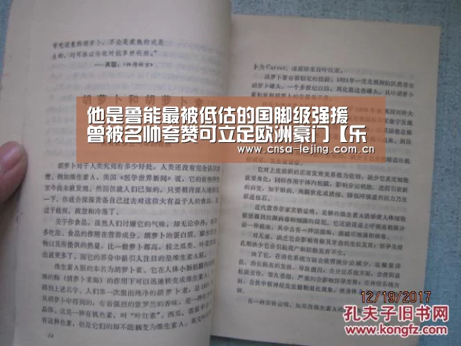 他是鲁能最被低估的国脚级强援 曾被名帅夸赞可立足欧洲豪门【乐竞体育平台】(图3) 乐竞体育