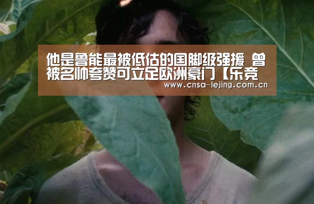 他是鲁能最被低估的国脚级强援 曾被名帅夸赞可立足欧洲豪门【乐竞体育平台】(图2) 乐竞体育app